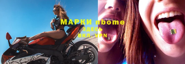 прущие грибы Данков