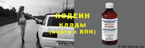 прущие грибы Кулебаки