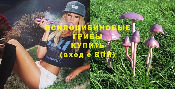 прущие грибы Кулебаки