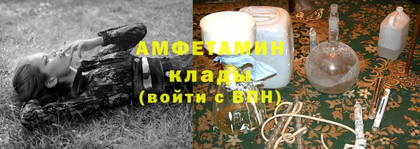 амф Кукмор