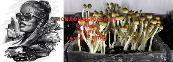 амф Кукмор