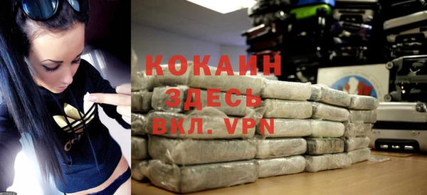 прущие грибы Кулебаки