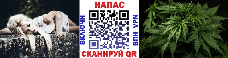 Бошки марихуана THC 21%  Купить где  Лабытнанги 